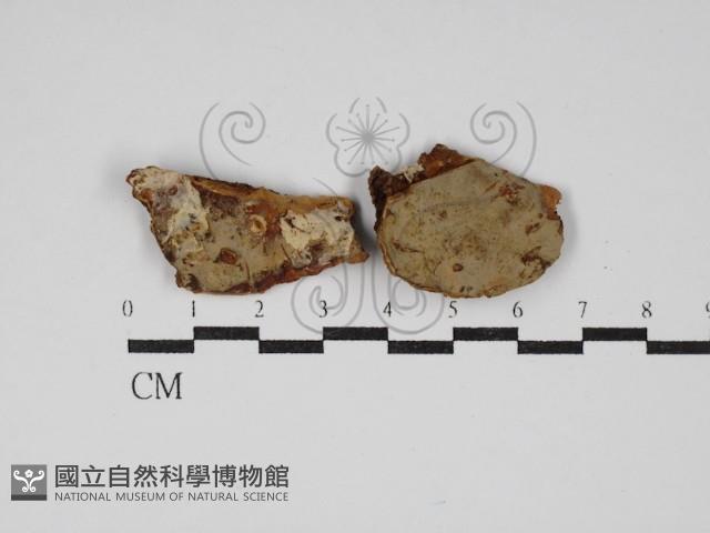 登錄號:F0025609藏品圖，第1張