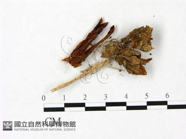 登錄號:F0023409藏品圖，第1張