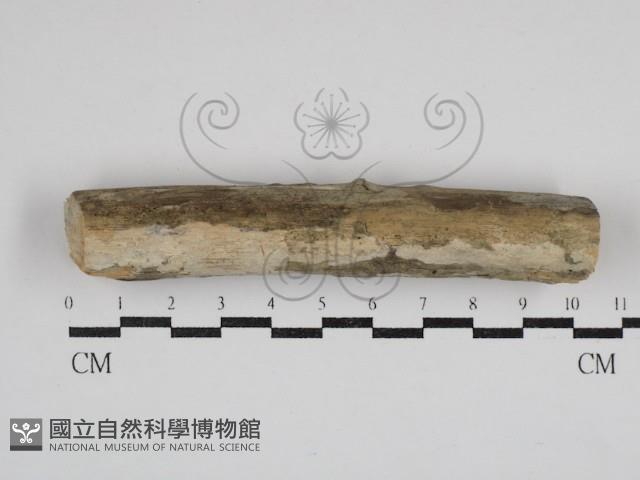 登錄號:F0030709藏品圖，第1張