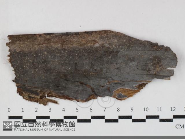 登錄號:F0033709藏品圖，第1張