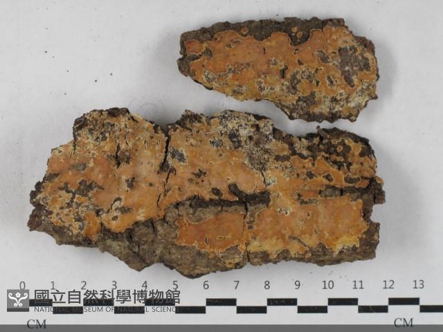 登錄號:F0033509藏品圖，第1張