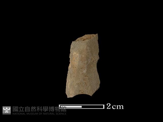 矛鏃形器藏品圖，第2張