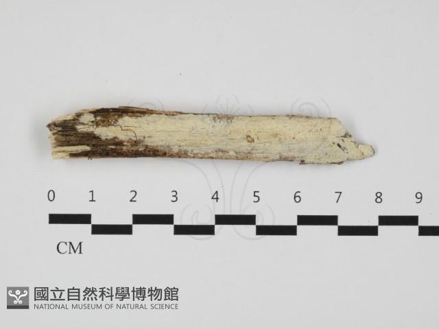 登錄號:F0032309藏品圖，第1張