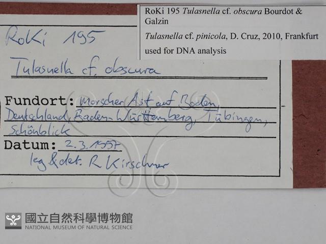 登錄號:F0028819藏品圖，第3張