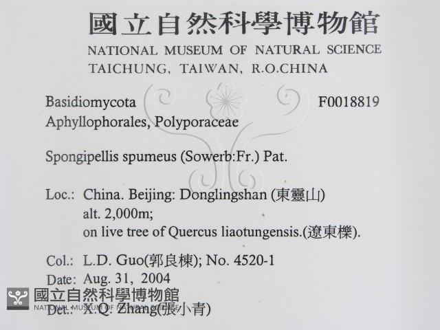 登錄號:F0018819藏品圖，第3張