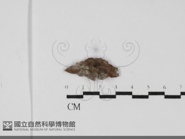 登錄號:F0031819藏品圖，第1張