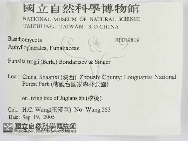 登錄號:F0019819藏品圖，第3張