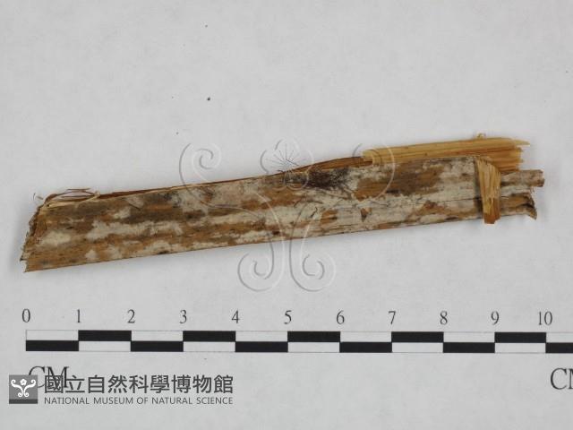 登錄號:F0024919藏品圖，第1張