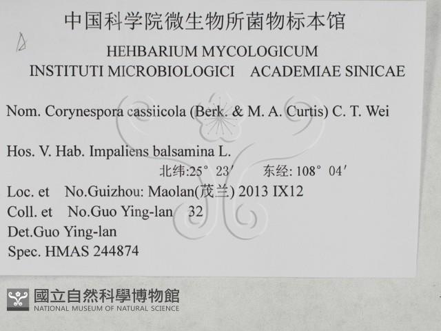 登錄號:F0027919藏品圖，第3張