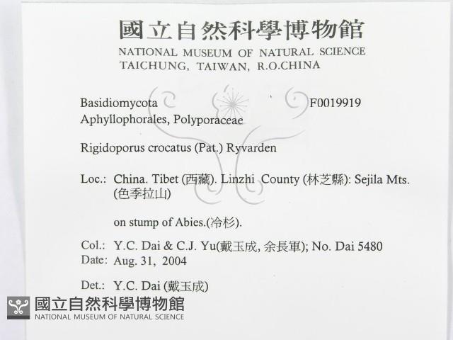 登錄號:F0019919藏品圖，第3張