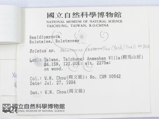 登錄號:F0002619藏品圖，第3張