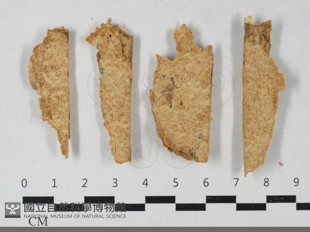 登錄號:F0033619藏品圖，第1張