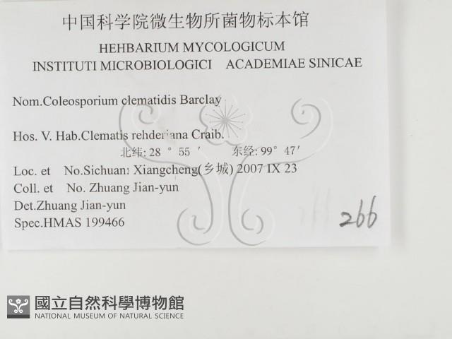 登錄號:F0026419藏品圖，第3張