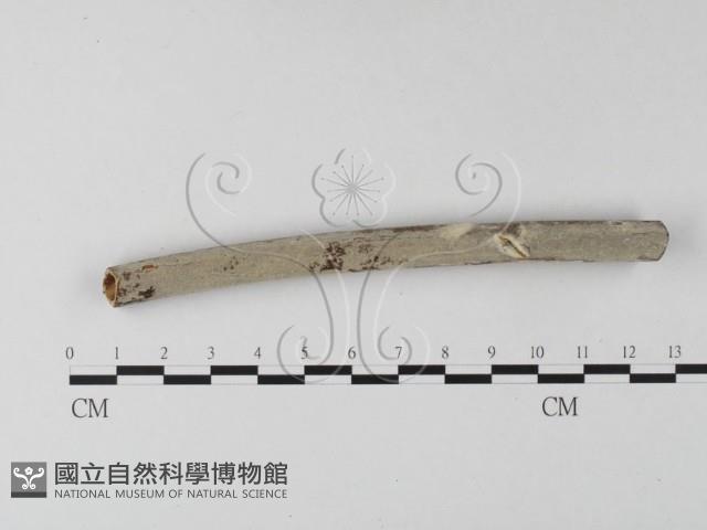 登錄號:F0025419藏品圖，第1張