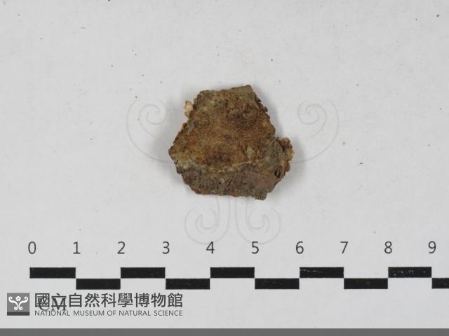 Accession Number:F0033419 Collection Image, Figure 1, Total 2 Figures