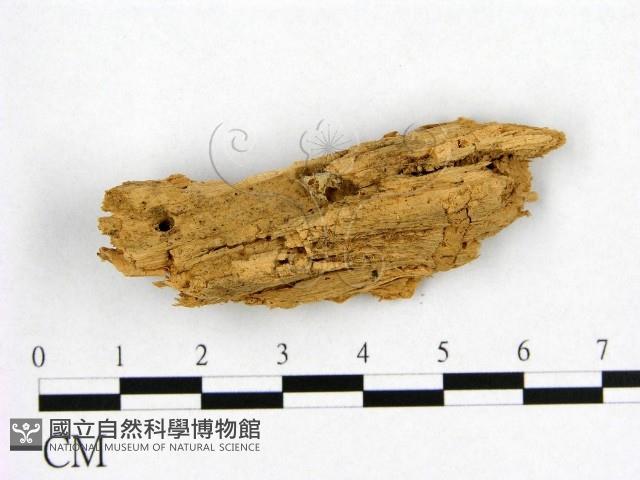 登錄號:F0016719藏品圖，第1張