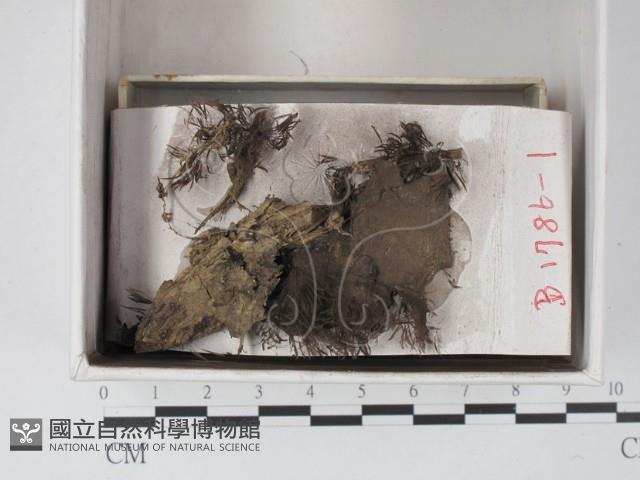 登錄號:F0021319藏品圖，第1張