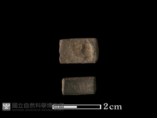 陶環藏品圖，第1張