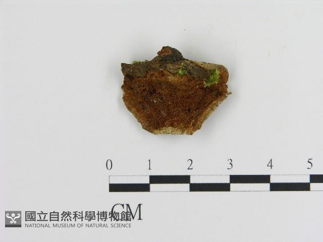 登錄號:F0017259藏品圖，第1張