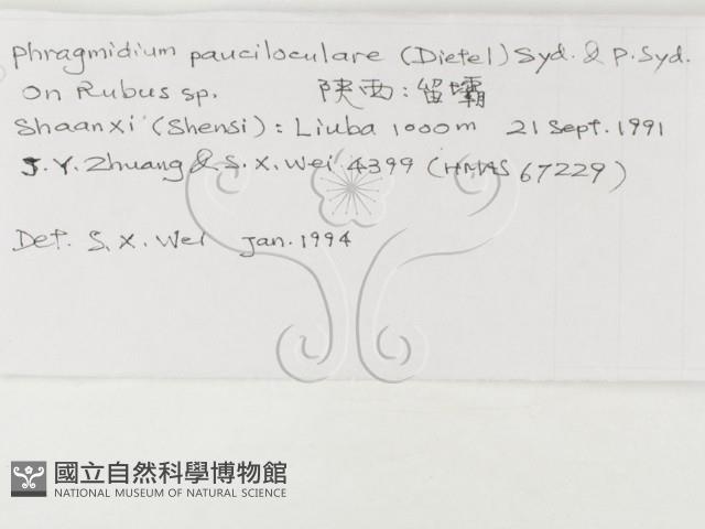登錄號:F0019259藏品圖，第3張