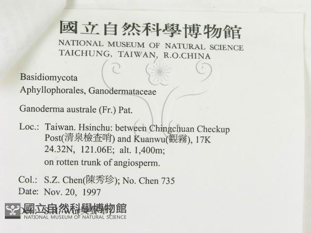 登錄號:F0008859藏品圖，第3張