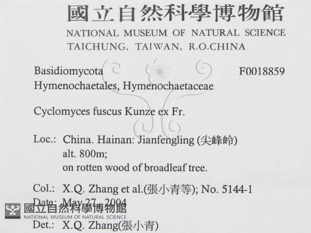 登錄號:F0018859藏品圖，第3張