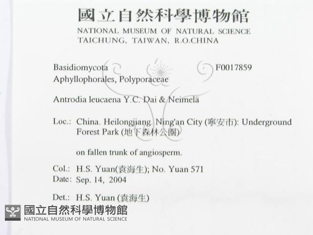 登錄號:F0017859藏品圖，第3張