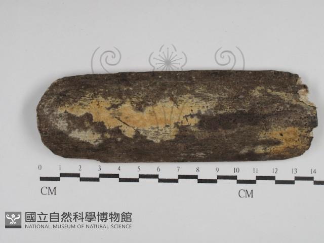 登錄號:F0029959藏品圖，第1張
