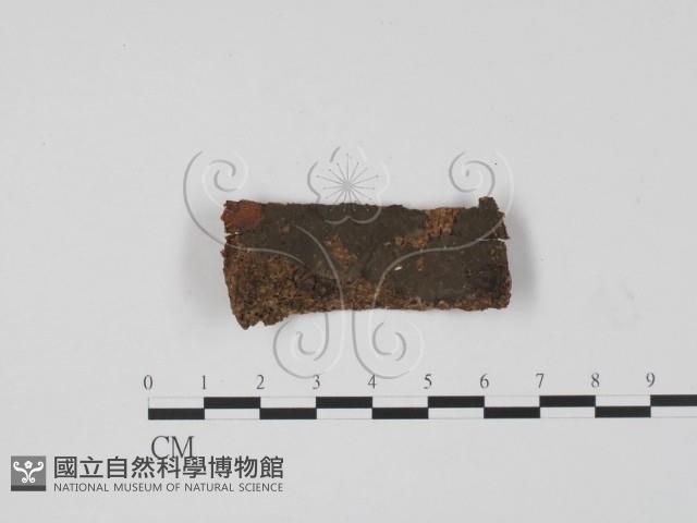 登錄號:F0008659藏品圖，第1張