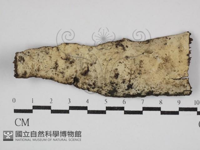 登錄號:F0030659藏品圖，第1張