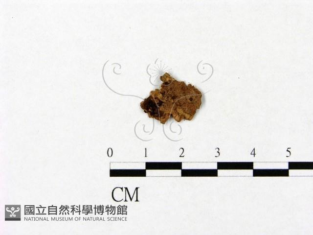 登錄號:F0016659藏品圖，第1張