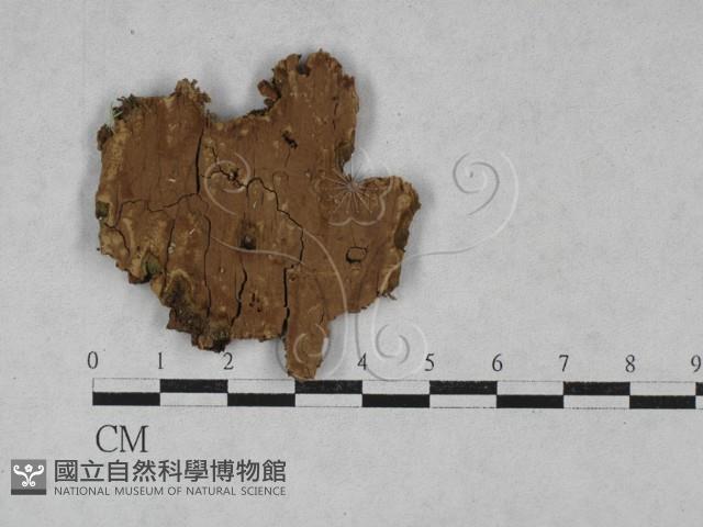 登錄號:F0028459藏品圖，第1張