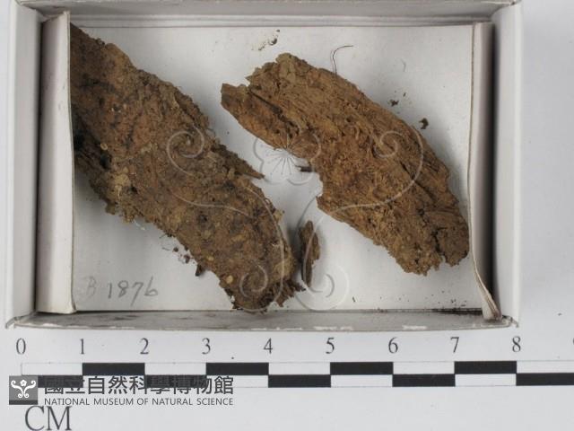 登錄號:F0018459藏品圖，第1張