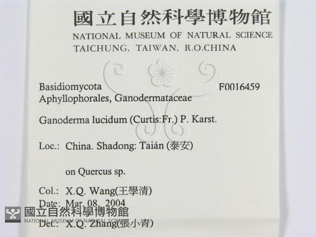 登錄號:F0016459藏品圖，第3張