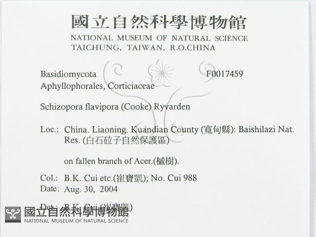 登錄號:F0017459藏品圖，第3張
