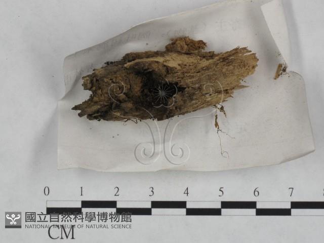 登錄號:F0023459藏品圖，第1張