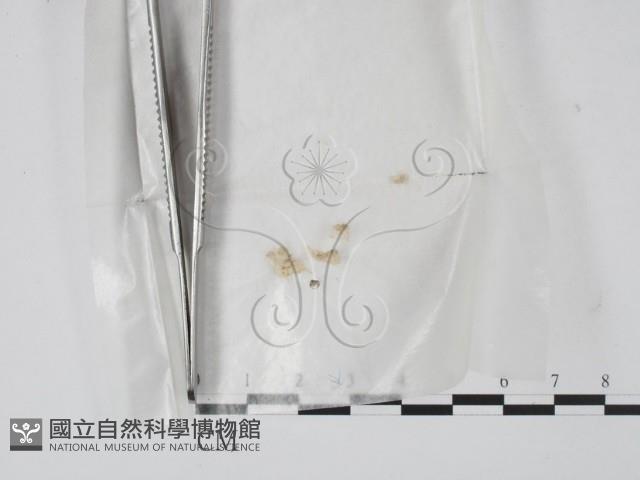 登錄號:F0000759藏品圖，第1張