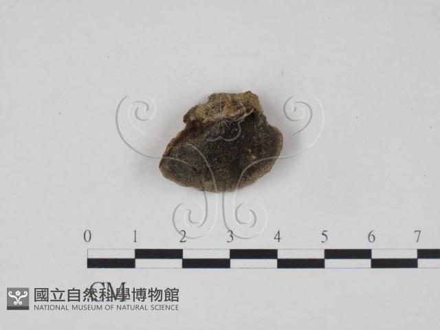 登錄號:F0002759藏品圖，第1張