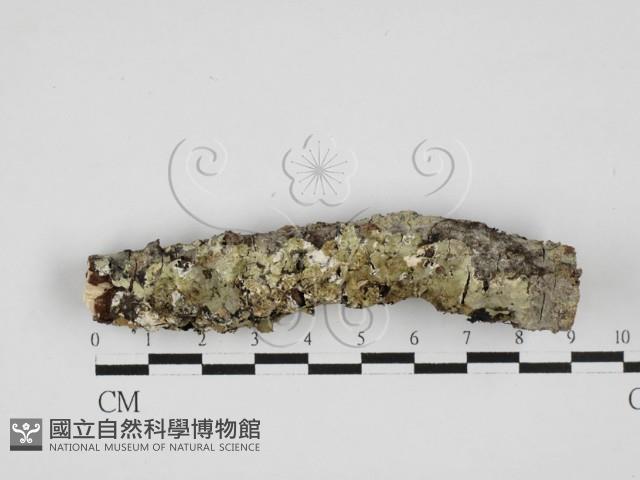 登錄號:F0027759藏品圖，第1張