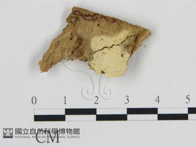 登錄號:F0015759藏品圖，第1張