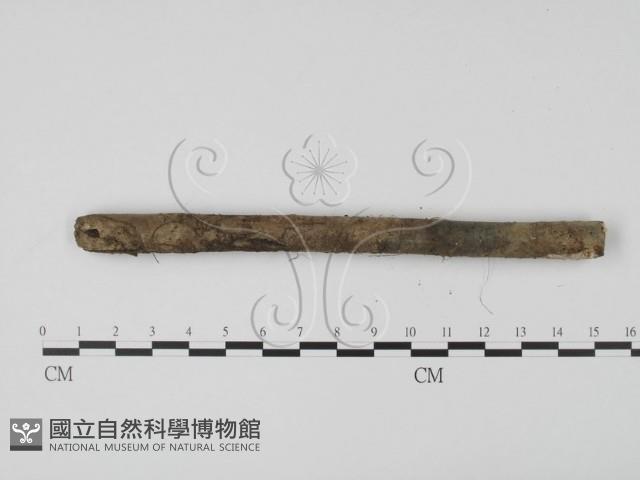 登錄號:F0000559藏品圖，第1張