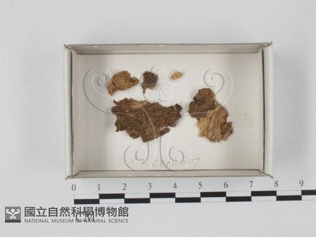 登錄號:F0018159藏品圖，第1張
