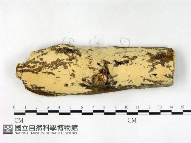 登錄號:F0003159藏品圖，第1張