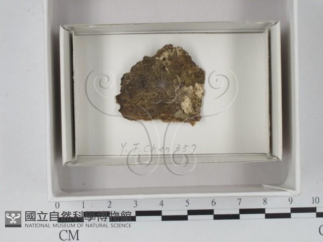 登錄號:F0018059藏品圖，第1張