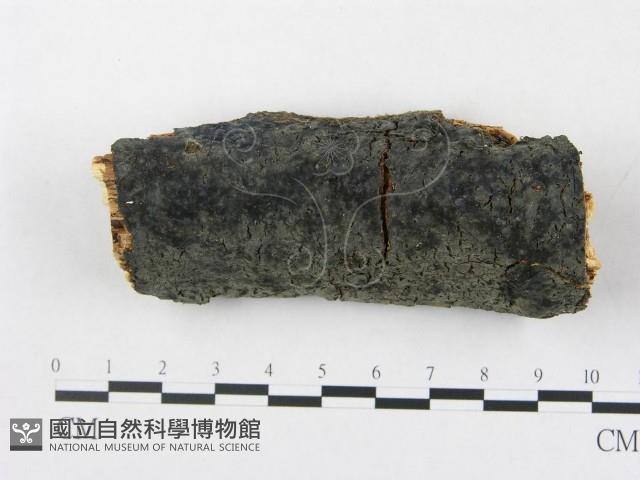 登錄號:F0020059藏品圖，第1張
