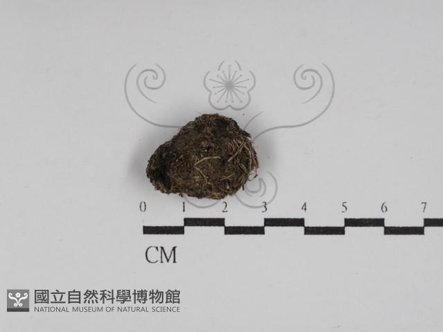 登錄號:F0030059藏品圖，第1張