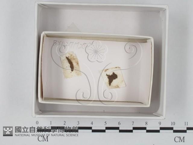 館號:F0018359藏品圖，第1張