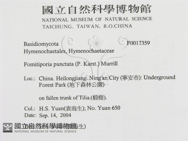 登錄號:F0017359藏品圖，第3張