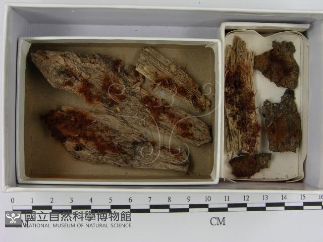 登錄號:F0021249藏品圖，第1張