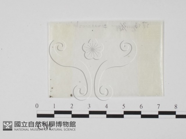 登錄號:F0002249藏品圖，第1張